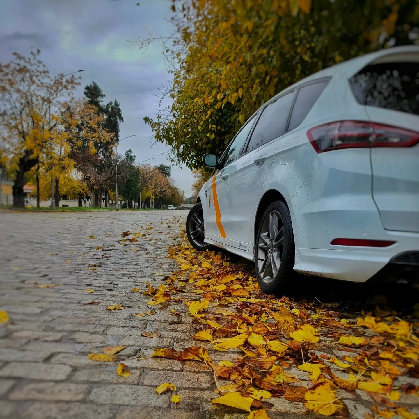 Taxi premium en Sevilla